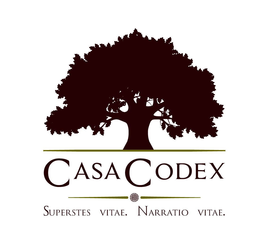 logo casa codex